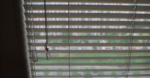 Time lapse from office through window Stock Footage 51984739