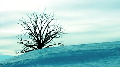 Time lapse of old bony tree on hill in snow landscape with moving clouds Stock Footage 47224100