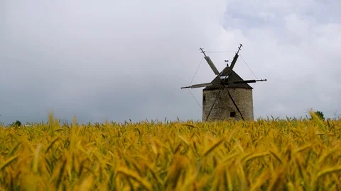 Time lapse of Old Windmill in a field of wheat. Stock Footage 124614736