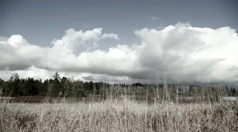 Time Lapse - Ominous clouds over a forest Stock Footage 22244280