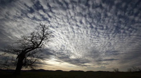 Time Lapse - One Tree Hill Sunset Stock Footage 39542051