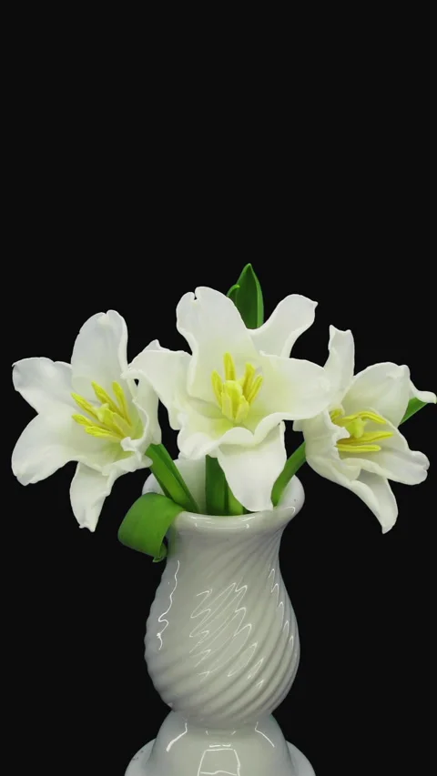 Time lapse of opening white tulips in a vase, vertical orientation 스톡 동영상 340615209