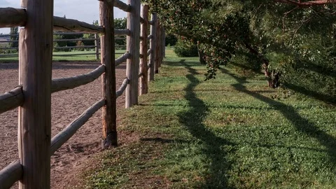 Time lapse of operating horse-breeding farm surrounded by a wooden fence and Stock Footage 75331387