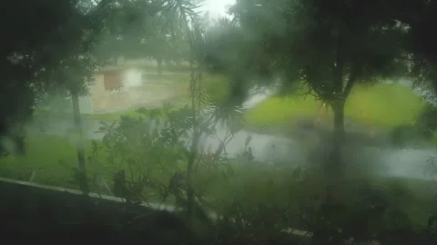 Time Lapse out the window looking down towards the parking lot with green grass Stock Footage 290142609