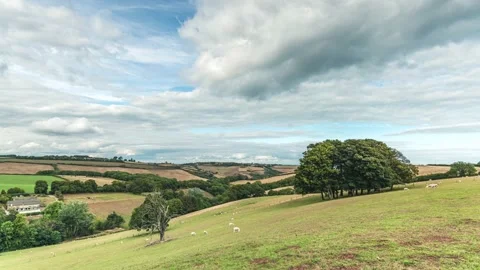 Time Lapse over Devon Fields and Farmlands, Kingswear, Brixham, Devon, England 스톡 동영상 209160314