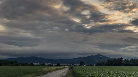 Time lapse over farming corn field. Dust road in the middle Stock Footage 133900477