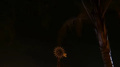 Time lapse of a palm tree by night Stock Footage 73764702