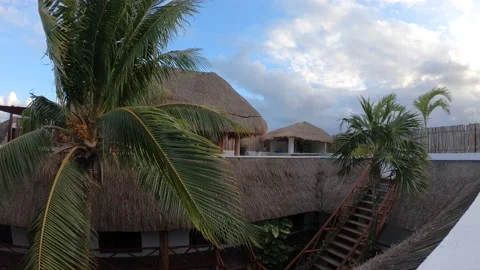 Time Lapse with palm trees and typical houses in Tulum, Mexico Stock Footage 196821486