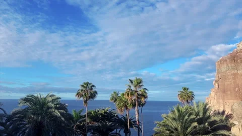 Time Lapse. Palm Trees From Below Against Blue Sky Stock Footage 327546136