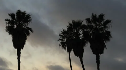 Time-Lapse-Palm-Trees-Clounds-California-Sunset Stock Footage 24825991