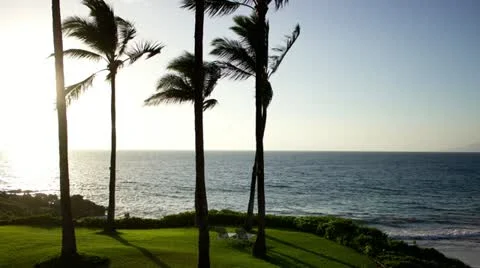 Time lapse of palm trees at sunset in Maui, Hawaii Stock Footage 22384208