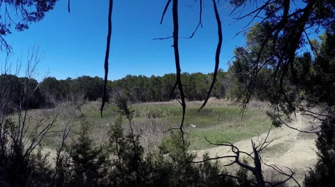 TIME LAPSE PAN ACROSS POND 動画素材 60768635