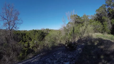 TIME LAPSE PAN OF TREE TOPS 動画素材 60690375