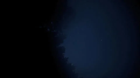 Time lapse pan trees 库存影片 24242839