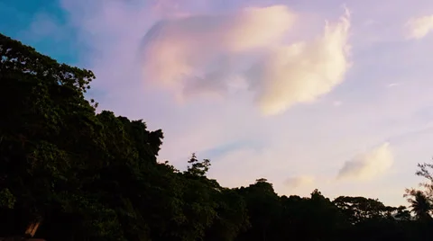 Time lapse  panorama of tropical forest  and sky Video stock 33718309