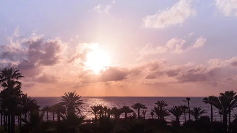 Time lapse. Panoramic view to palm trees sunset beach Stock Footage 166680599