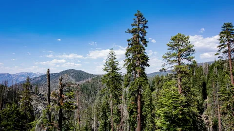 Time Lapse - Panoramic View of the Valley of  Sequoia Natioanal Park Stock Footage 164612772
