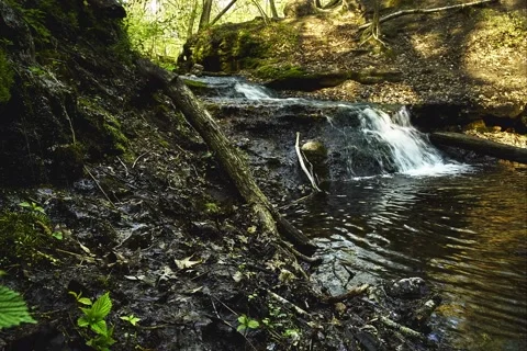 Time-Lapse Parfrey's Glen State Natural Area, stream Stock Footage 64701284