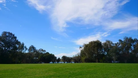 Time lapse at a park with clouds and trees Stock Footage 91388135