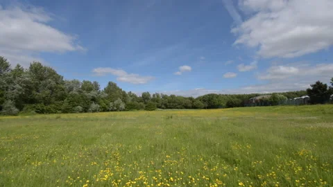 Time lapse of a park Stock Footage 155573557