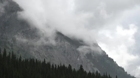 Time lapse of a park scene with an evergreen forest in the foreground  Stock Footage 285421287