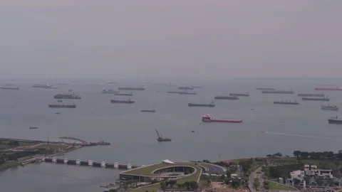 Time lapse parking of large cargo ships in the harbor of Singapore. Stock Footage 115545824