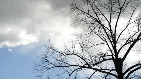 Time lapse - passage of clouds in the sky 2 Video stock 150566492