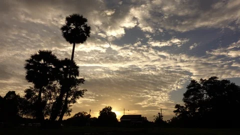 Time lapse of passing clouds over tree at twilight in Phuket Thailand.	 Stock-Footage 99087883