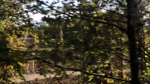 Time lapse path Video stock 143115618