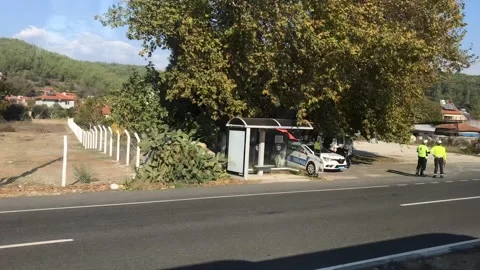 Time lapse path Stock Footage 143115657