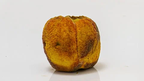 Time lapse of peach rotting on a white background, the process of decomposition Stock Footage 142337769