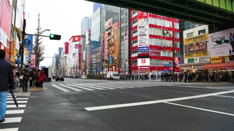 Time-lapse: pedestrians walking and shopping at Akihabara district Tokyo Japan Stockbeeldmateriaal 149581469
