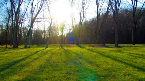 Time-lapse People and Trees in the Park Vivid Sunshine and Shadow Stock-Footage 10593340