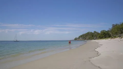 Time Lapse of People Entering Water at Sunny Sydney Beach with Sailboat View Stock Footage 341672015