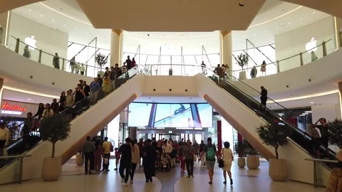 Time-lapse of People riding the escalator and walking. Stock Footage 310881942