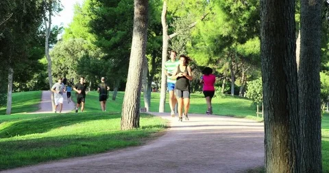 Time Lapse People Running on Park Stock Footage 80596934