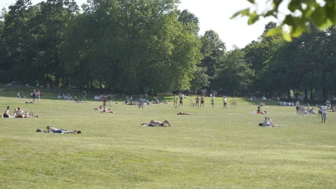 Time lapse. People sunbathing in a park in summertime. Stock Footage 112361828