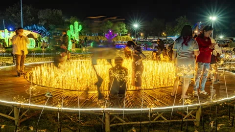 Time lapse of people visiting the Chiang Mai Flower Festival Stock Footage 227692953