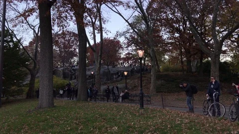 Time Lapse People walking in Central Park, Giant ROck Stock Footage 69857350