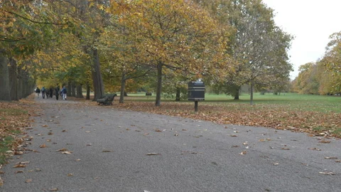 Time lapse. People walking in a park in autumn. Stock Footage 221565609
