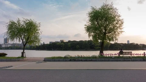 Time lapse of people walking, running along public park Stock Footage 75021786