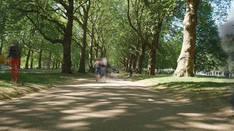 Time lapse. People walking on a sidewalk between trees in a park. Stock Footage 107479520