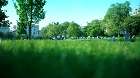 Time lapse people walking through park Stock Footage 38017984
