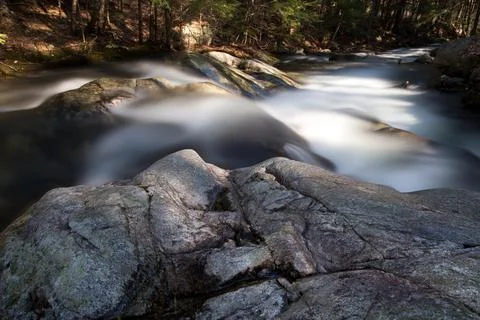 Time-lapse Photograph of Stream Between Trees Stock Photos