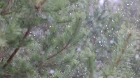 Time-lapse photography of falling snow against Stock Footage 142188612