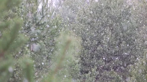 Time-lapse photography of falling snow against Stock Footage 142188662