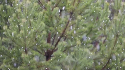 Time-lapse photography of falling snow against Stock Footage 142188740