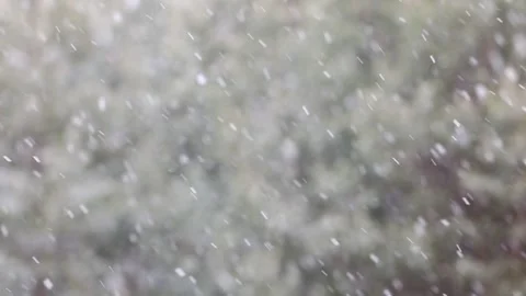 Time-lapse photography of falling snow against Stock Footage 142189191