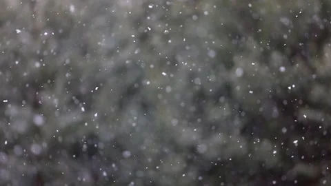 Time-lapse photography of falling snow against Stock Footage 142189194