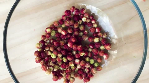 Time lapse pick strawberries Stock Footage 134506208